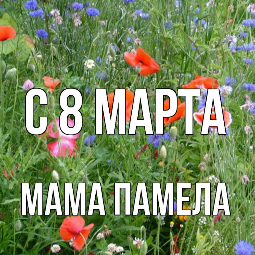 Открытка на каждый день с именем, Мама-Памела С 8 марта международный женский день 4 Прикольная открытка с пожеланием онлайн скачать бесплатно 