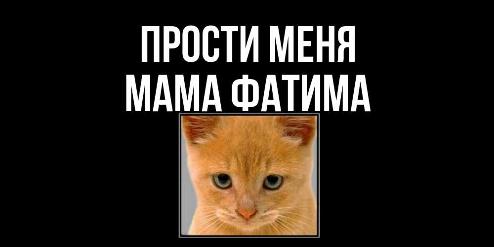 Открытка на каждый день с именем, Мама-Фатима Прости меня рыжий грустный кот просит прощения Прикольная открытка с пожеланием онлайн скачать бесплатно 