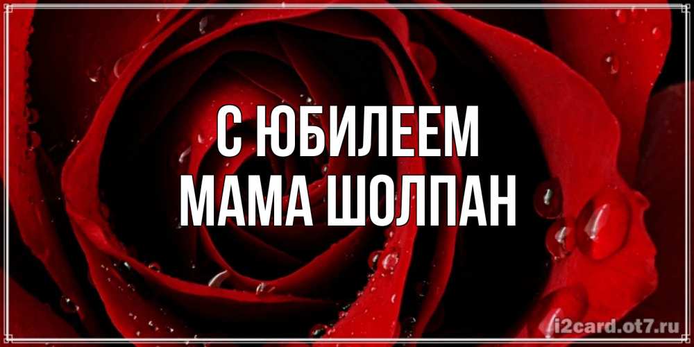 Открытка на каждый день с именем, Мама-Шолпан С юбилеем крупная бордовая роза Прикольная открытка с пожеланием онлайн скачать бесплатно 