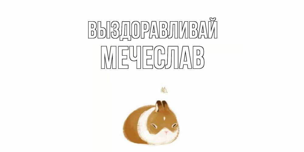Открытка на каждый день с именем, Мечеслав Выздоравливай морская свинка на открытке с пожеланиями не болеть Прикольная открытка с пожеланием онлайн скачать бесплатно 