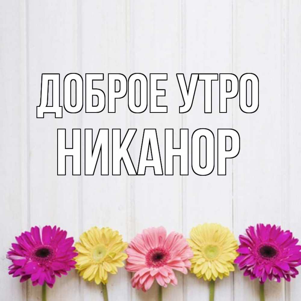 Открытка на каждый день с именем, Никанор Доброе утро красный желтый и розовый цветок Прикольная открытка с пожеланием онлайн скачать бесплатно 