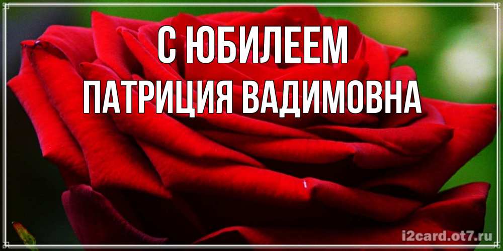 Открытка на каждый день с именем, Патриция-Вадимовна С юбилеем розочка очень красивая Прикольная открытка с пожеланием онлайн скачать бесплатно 