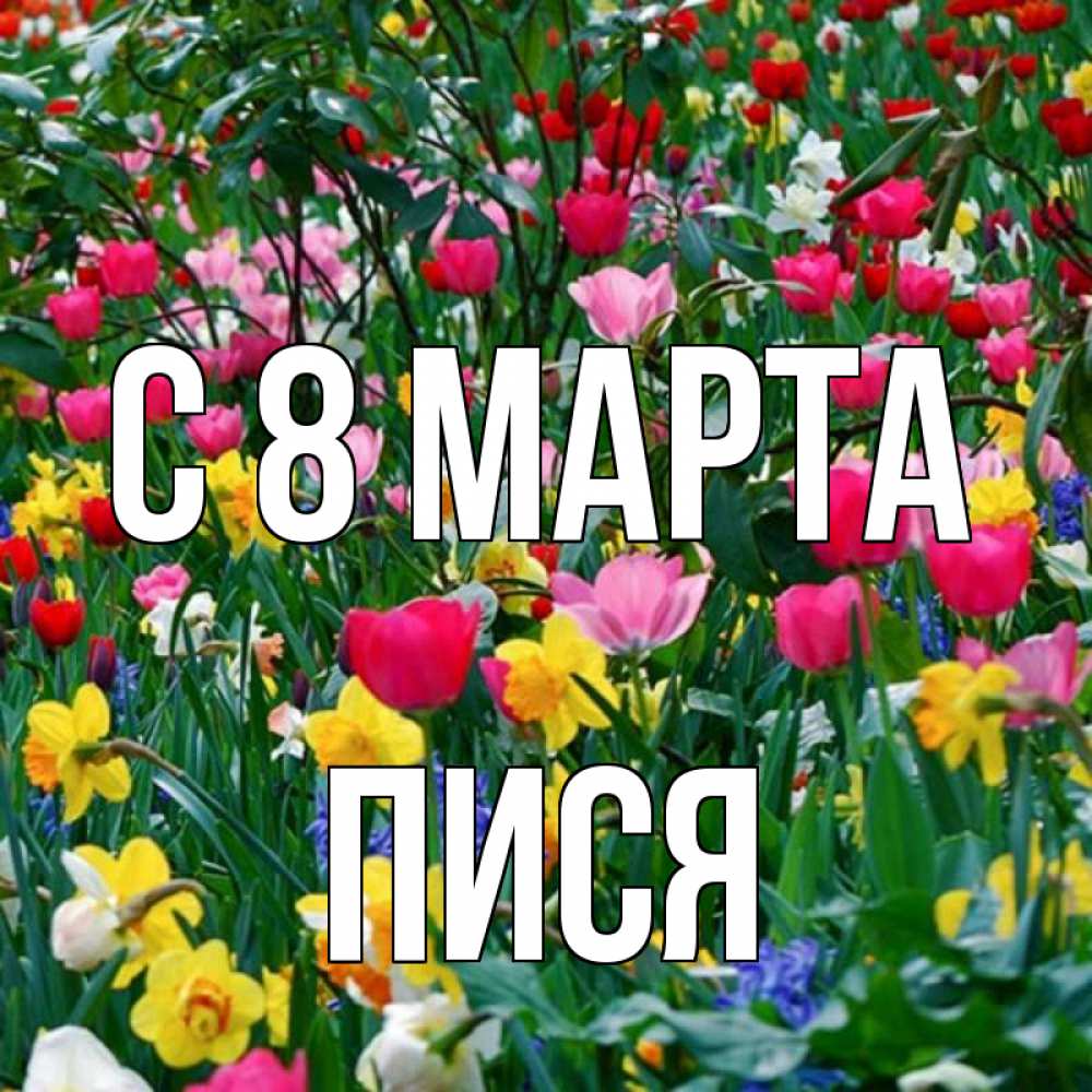 Открытка на каждый день с именем, Пися С 8 МАРТА с международным женским днем поздравления для женщины Прикольная открытка с пожеланием онлайн скачать бесплатно 