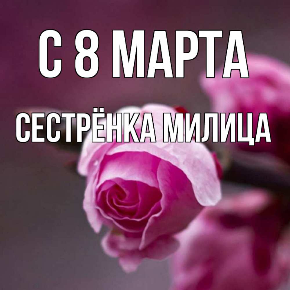 Открытка на каждый день с именем, Сестрёнка-Милица С 8 марта весна Прикольная открытка с пожеланием онлайн скачать бесплатно 