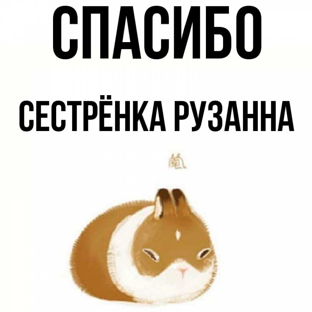 Открытка на каждый день с именем, Сестрёнка-Рузанна Спасибо коричнево белый домашний питомец Прикольная открытка с пожеланием онлайн скачать бесплатно 