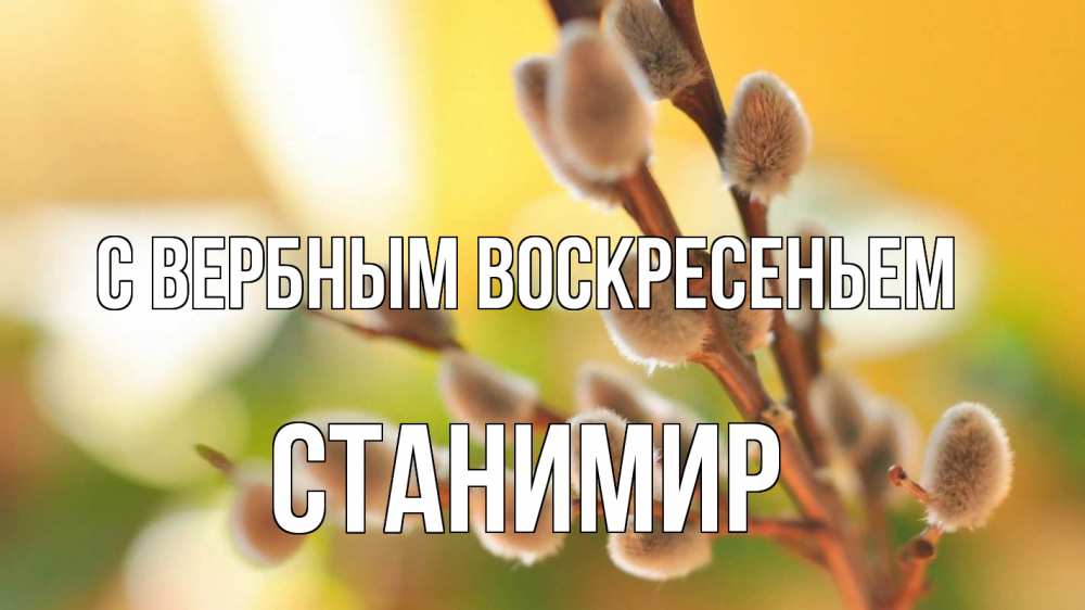 Открытка на каждый день с именем, Станимир С вербным воскресеньем верба 1 Прикольная открытка с пожеланием онлайн скачать бесплатно 