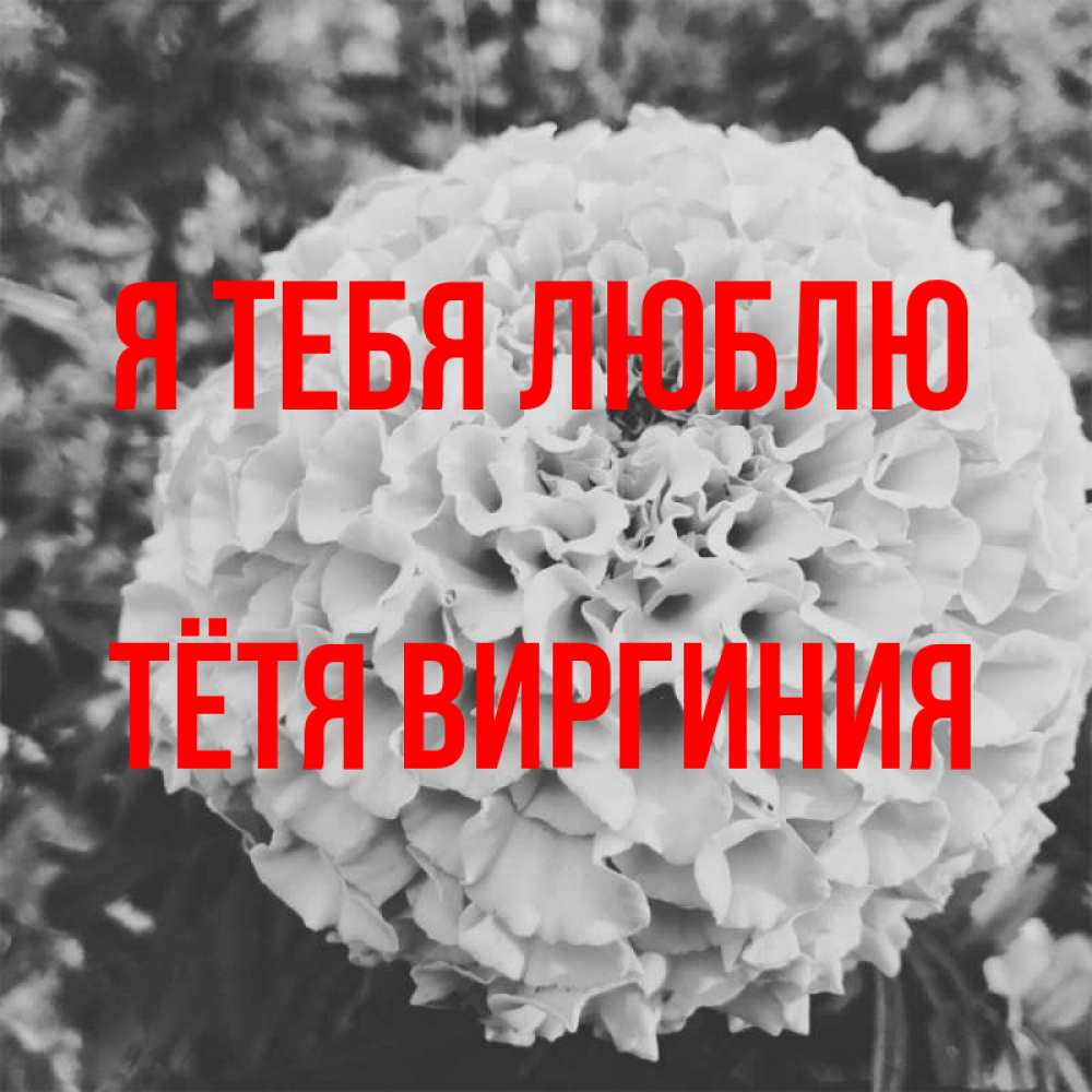 Открытка на каждый день с именем, Тётя-Виргиния Я тебя люблю подпись Прикольная открытка с пожеланием онлайн скачать бесплатно 