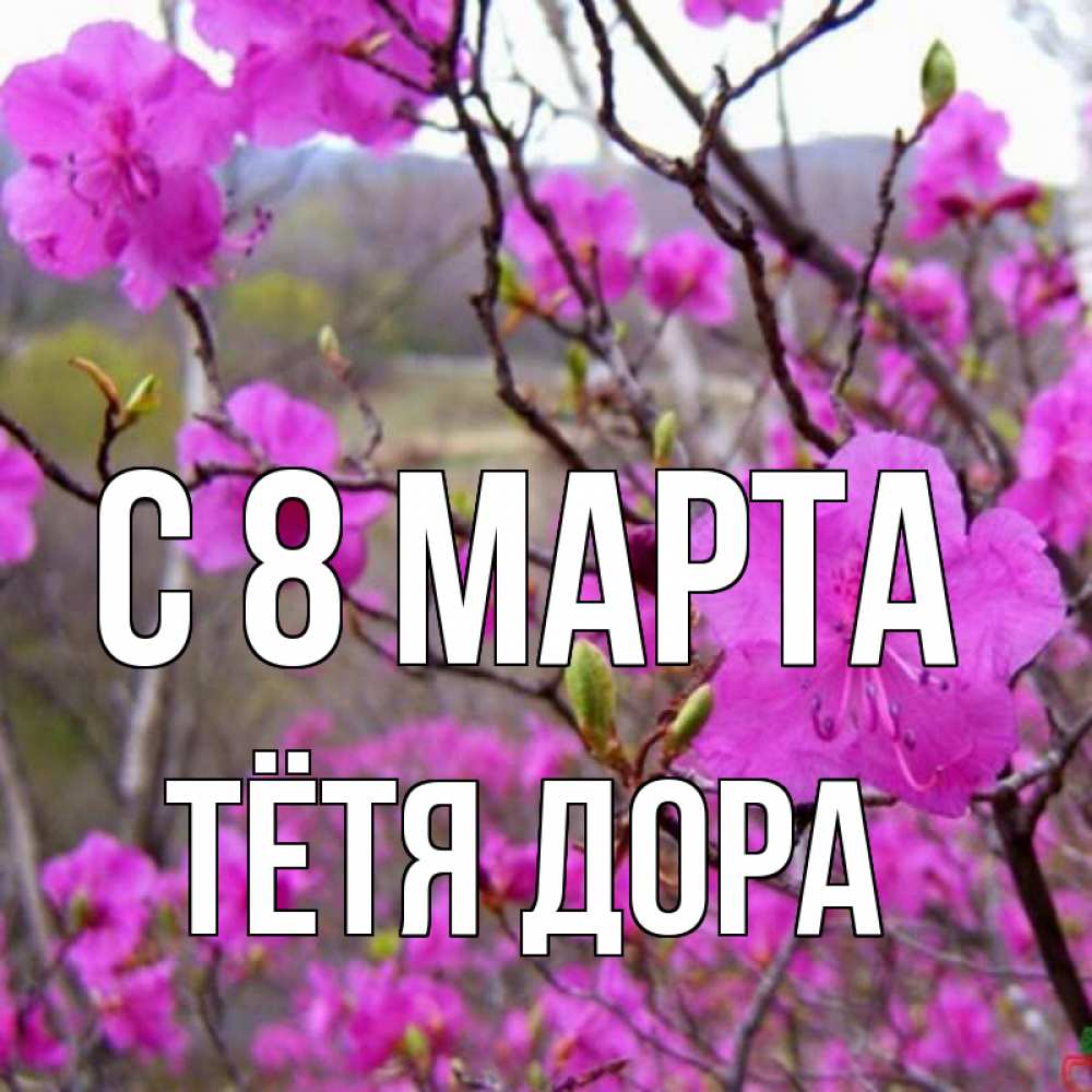 Открытка на каждый день с именем, Тётя-Дора С 8 МАРТА международный женский день Прикольная открытка с пожеланием онлайн скачать бесплатно 