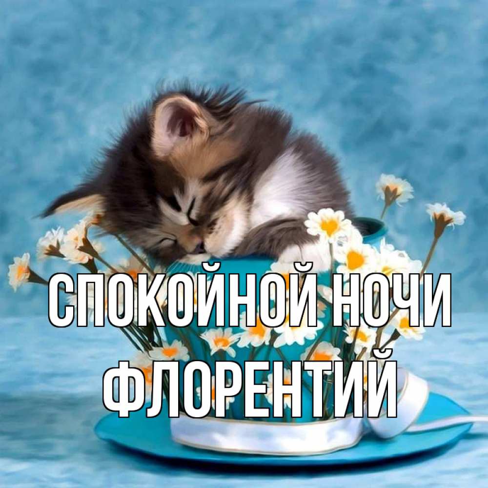 Открытка на каждый день с именем, Флорентий Спокойной ночи котенок спит в кружке с блюдцем Прикольная открытка с пожеланием онлайн скачать бесплатно 