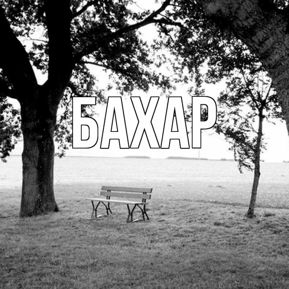 Открытка на каждый день с именем, Бахар Главная приходи Прикольная открытка с пожеланием онлайн скачать бесплатно 