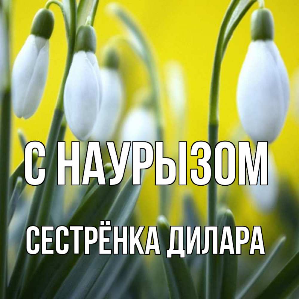 Открытка на каждый день с именем, Сестрёнка-Дилара С наурызом весенние цветы Прикольная открытка с пожеланием онлайн скачать бесплатно 