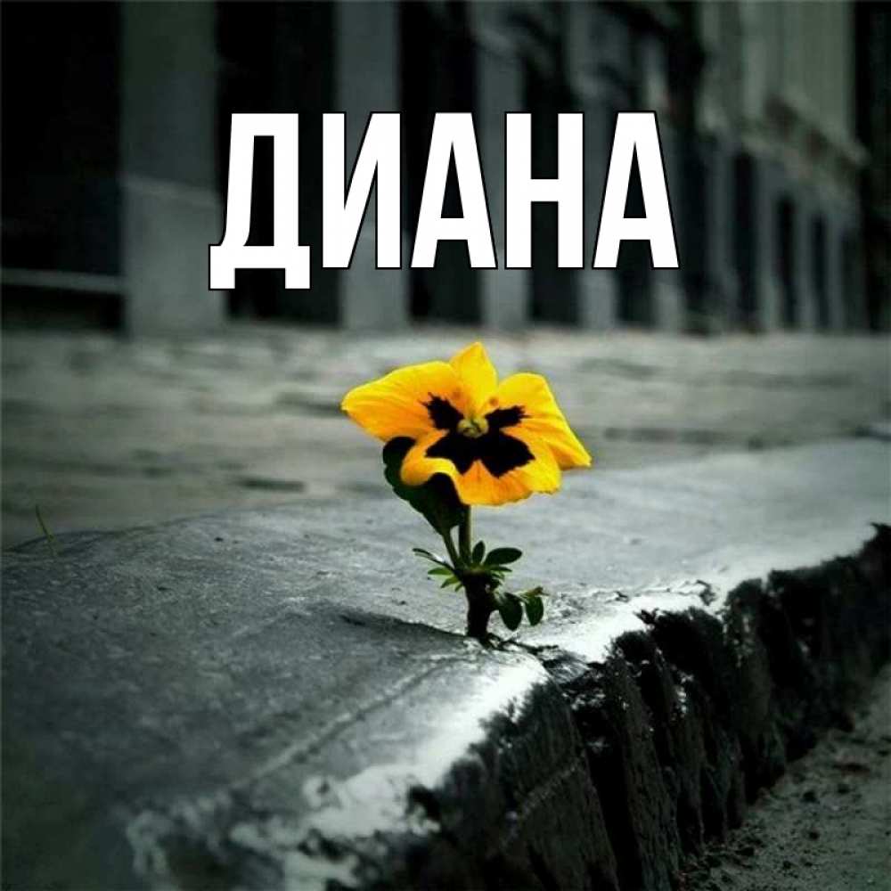 Музыкальная открытка с именем диана, гроза дождь