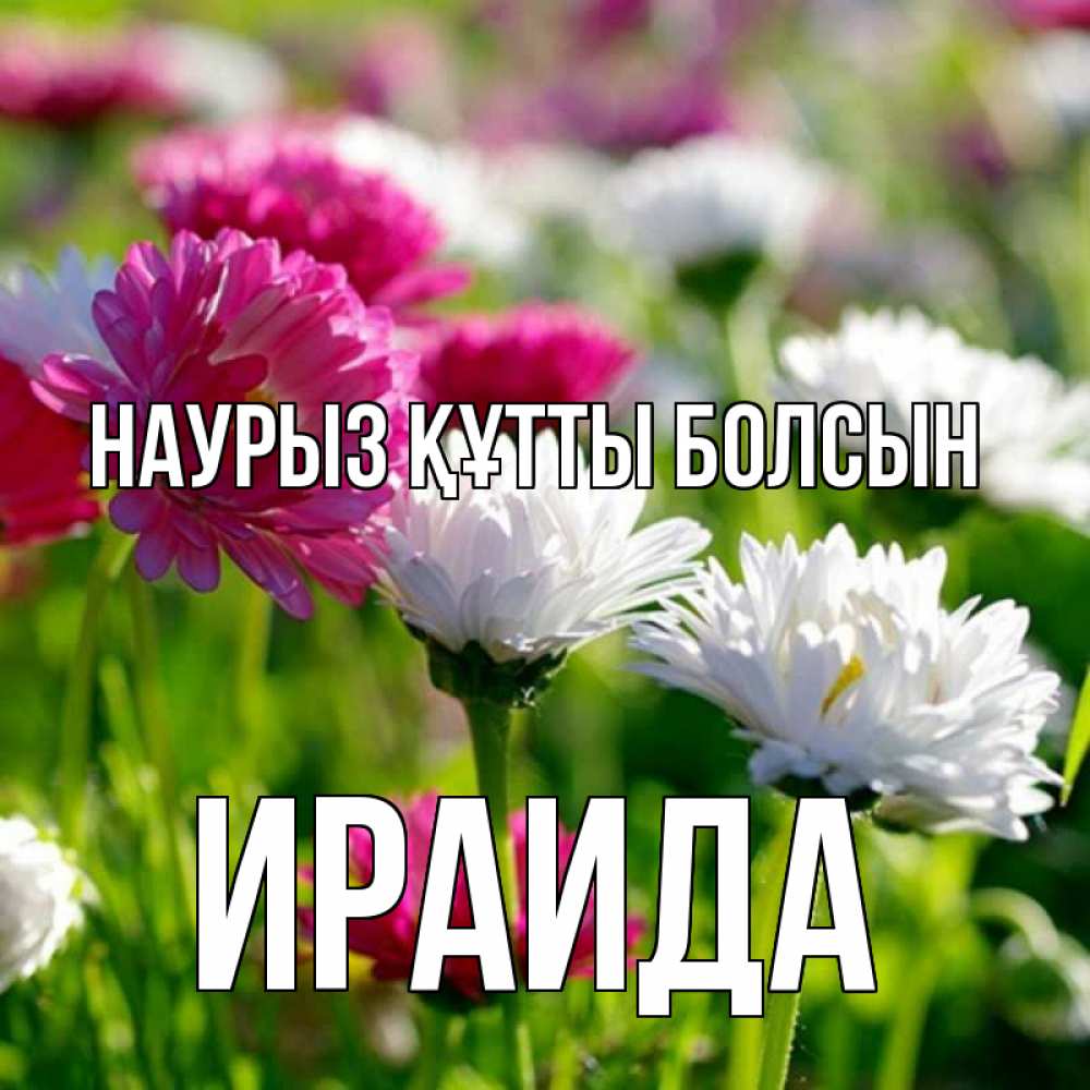 Открытка на каждый день с именем, Ираида Наурыз құтты болсын наурыз Прикольная открытка с пожеланием онлайн скачать бесплатно 