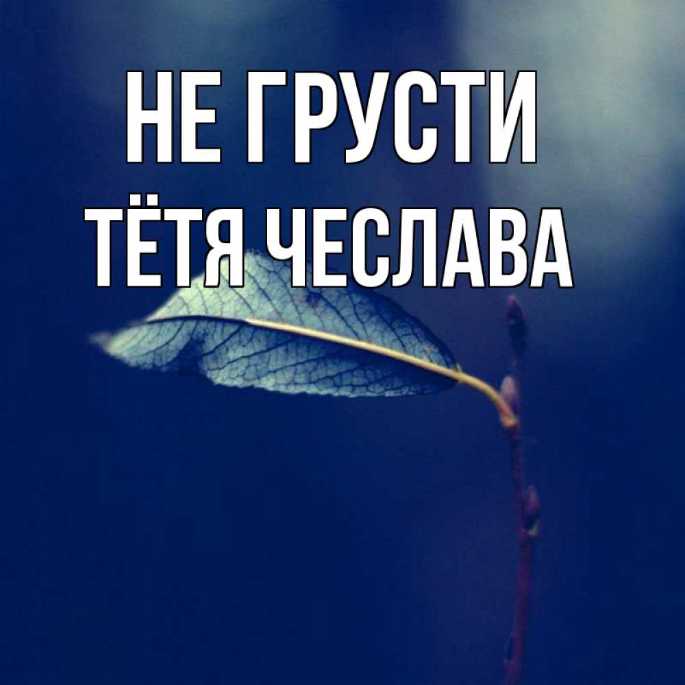 Открытка на каждый день с именем, Тётя-Чеслава Не грусти растение Прикольная открытка с пожеланием онлайн скачать бесплатно 