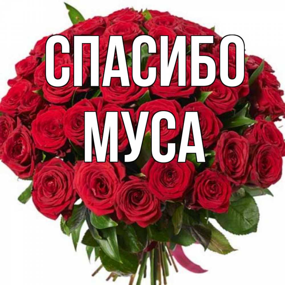 Картинки С Именем Муса
