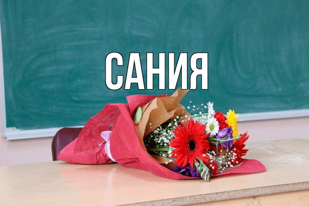 Открытка на каждый день с именем, Сания Главная школа с днем учителя Прикольная открытка с пожеланием онлайн скачать бесплатно 