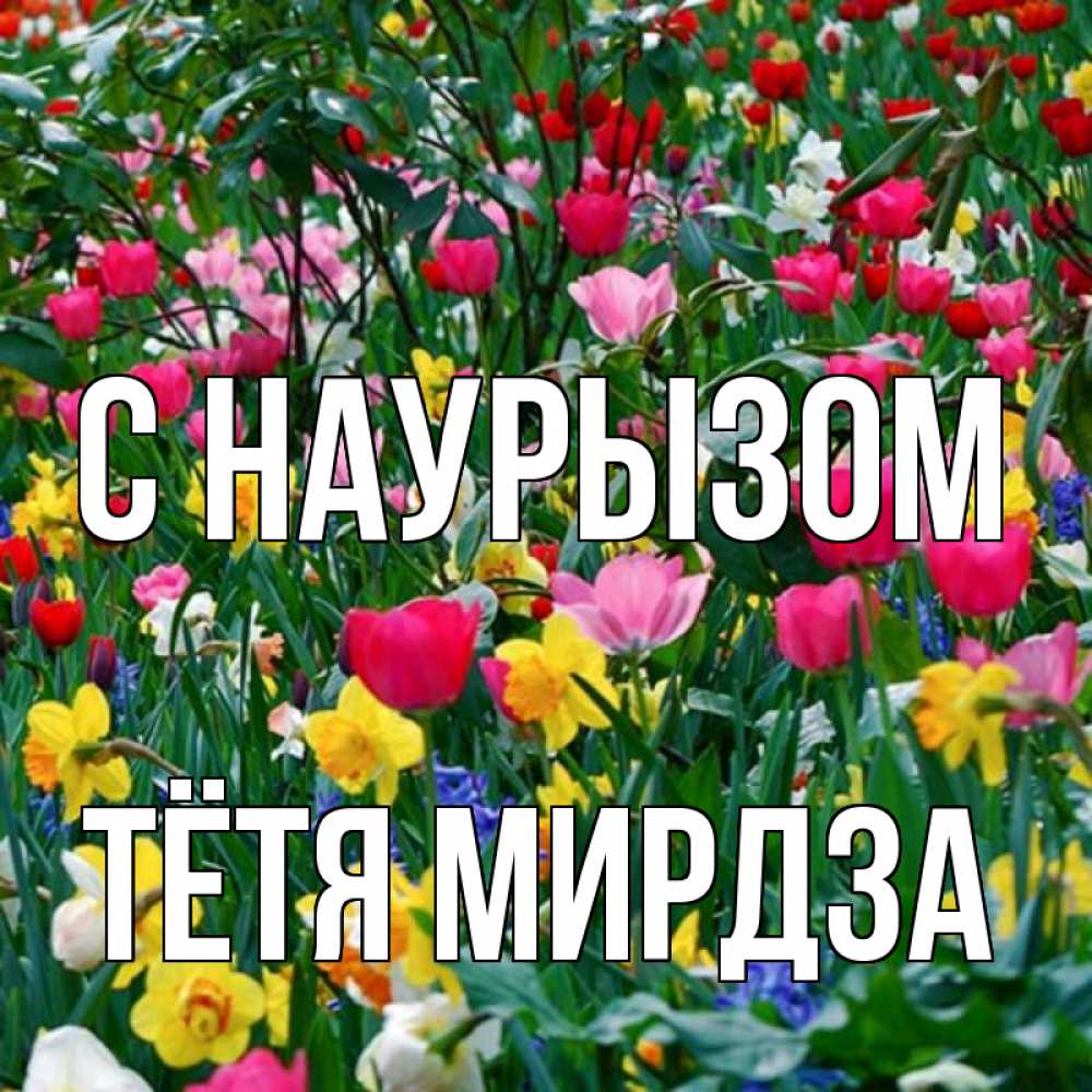 Открытка на каждый день с именем, Тётя-Мирдза С наурызом с наурызом праздником весны поздравления для женщины Прикольная открытка с пожеланием онлайн скачать бесплатно 