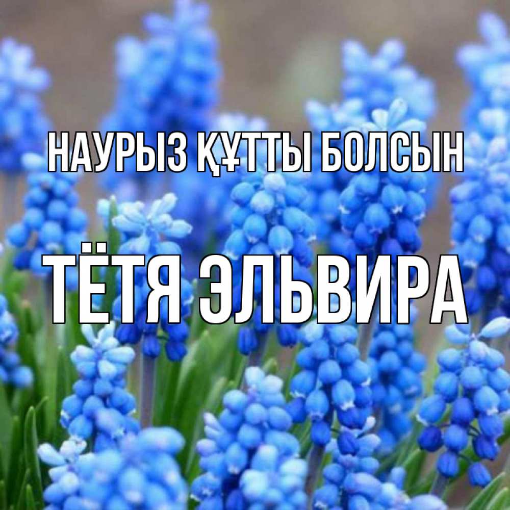 Открытка на каждый день с именем, Тётя-Эльвира Наурыз құтты болсын Поздравительная открытка для женщин с цветами на праздничную дату Прикольная открытка с пожеланием онлайн скачать бесплатно 