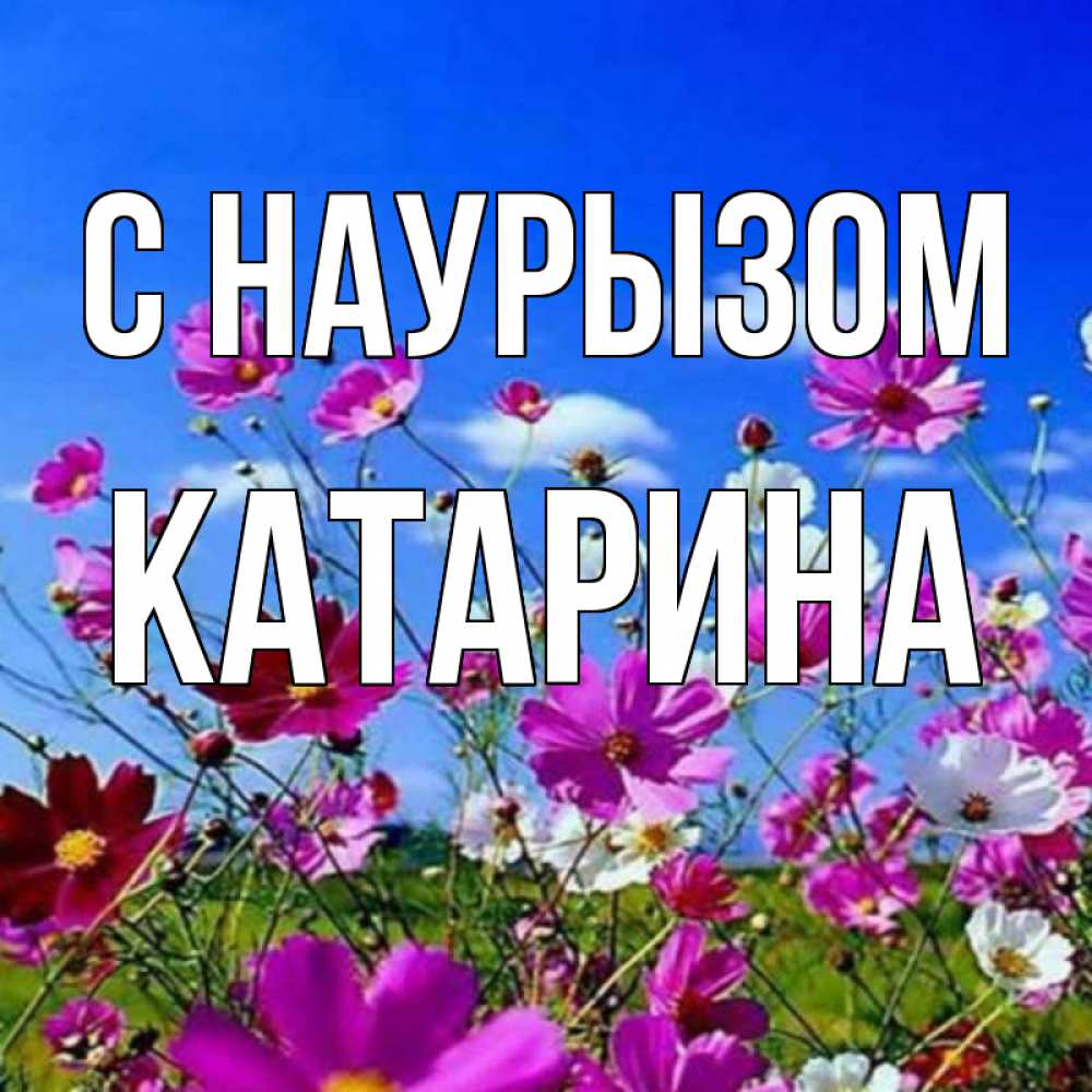 Открытка на каждый день с именем, Катарина С наурызом цветы Прикольная открытка с пожеланием онлайн скачать бесплатно 