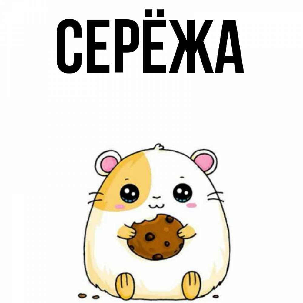 Картинка  с именем , Серёжа