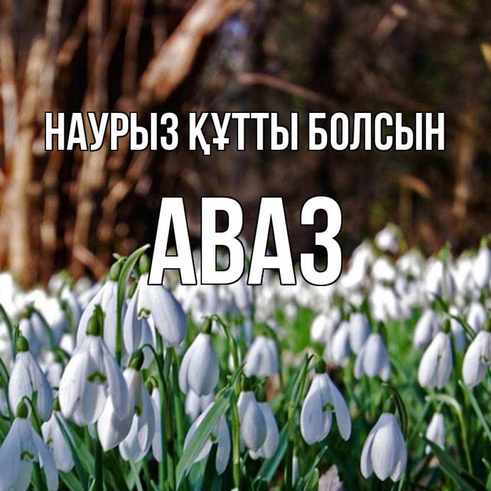 Открытка на каждый день с именем, Аваз Наурыз құтты болсын с подснежниками 1 Прикольная открытка с пожеланием онлайн скачать бесплатно 