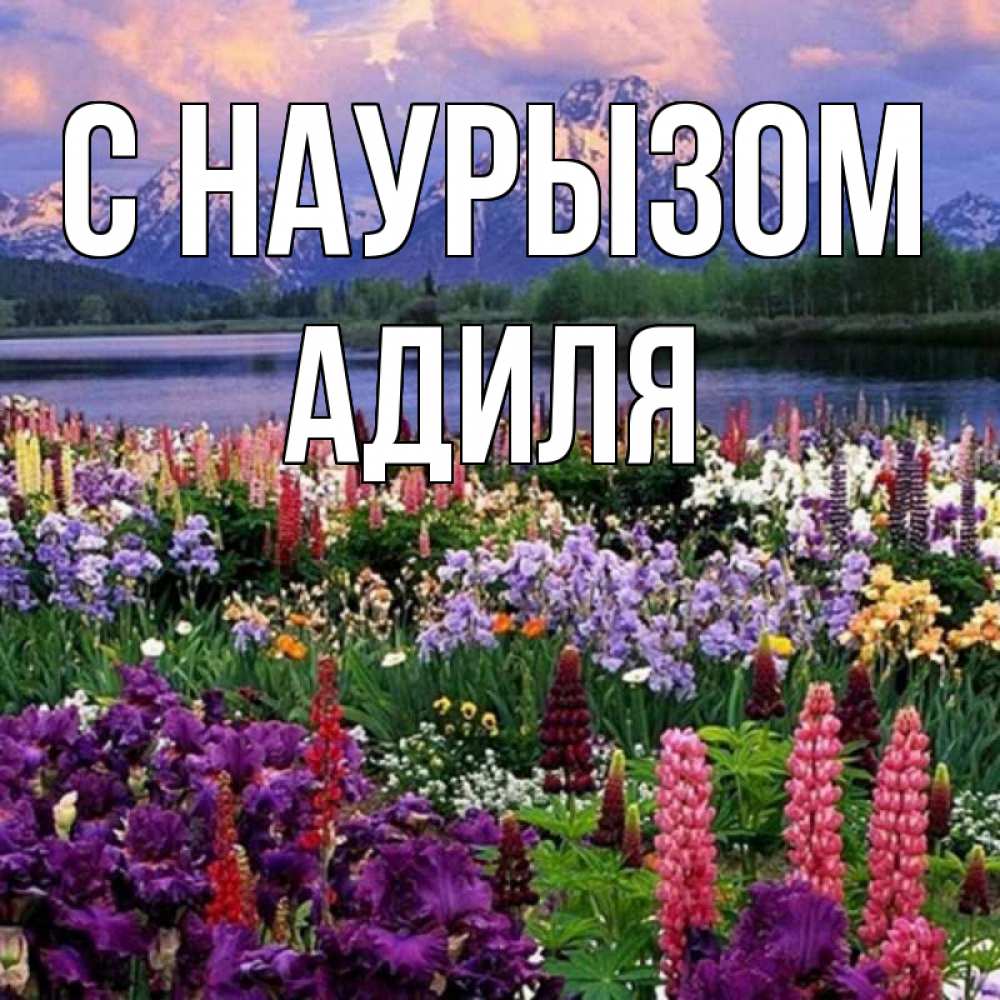 Открытка на каждый день с именем, Адиля С наурызом праздник весны наурыз Прикольная открытка с пожеланием онлайн скачать бесплатно 