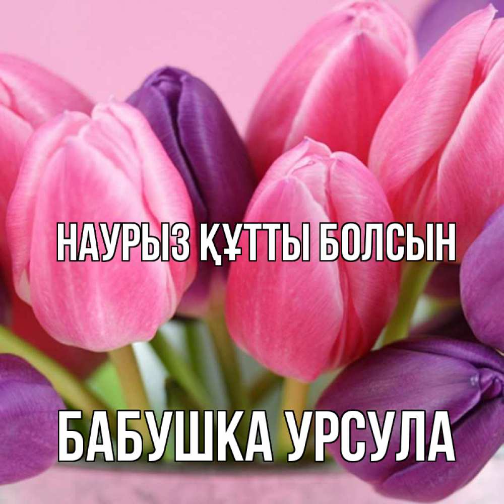 Открытка на каждый день с именем, Бабушка-Урсула Наурыз құтты болсын маме 1 Прикольная открытка с пожеланием онлайн скачать бесплатно 