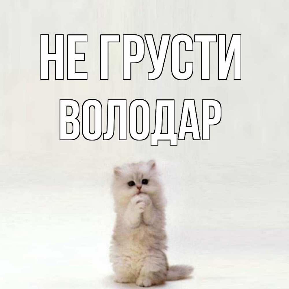 Открытка на каждый день с именем, Володар Не грусти грустный кот Прикольная открытка с пожеланием онлайн скачать бесплатно 