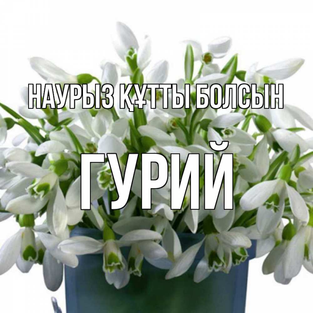 Открытка на каждый день с именем, Гурий Наурыз құтты болсын цветы к наурызу Прикольная открытка с пожеланием онлайн скачать бесплатно 