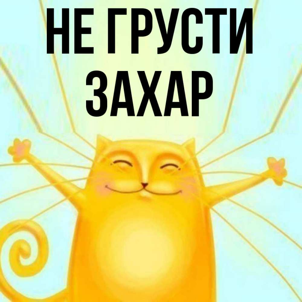 Открытка на каждый день с именем, Захар Не грусти обнимашки усатые Прикольная открытка с пожеланием онлайн скачать бесплатно 