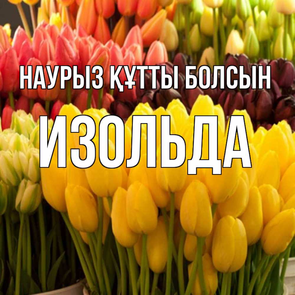 Открытка на каждый день с именем, Изольда Наурыз құтты болсын цветы Прикольная открытка с пожеланием онлайн скачать бесплатно 