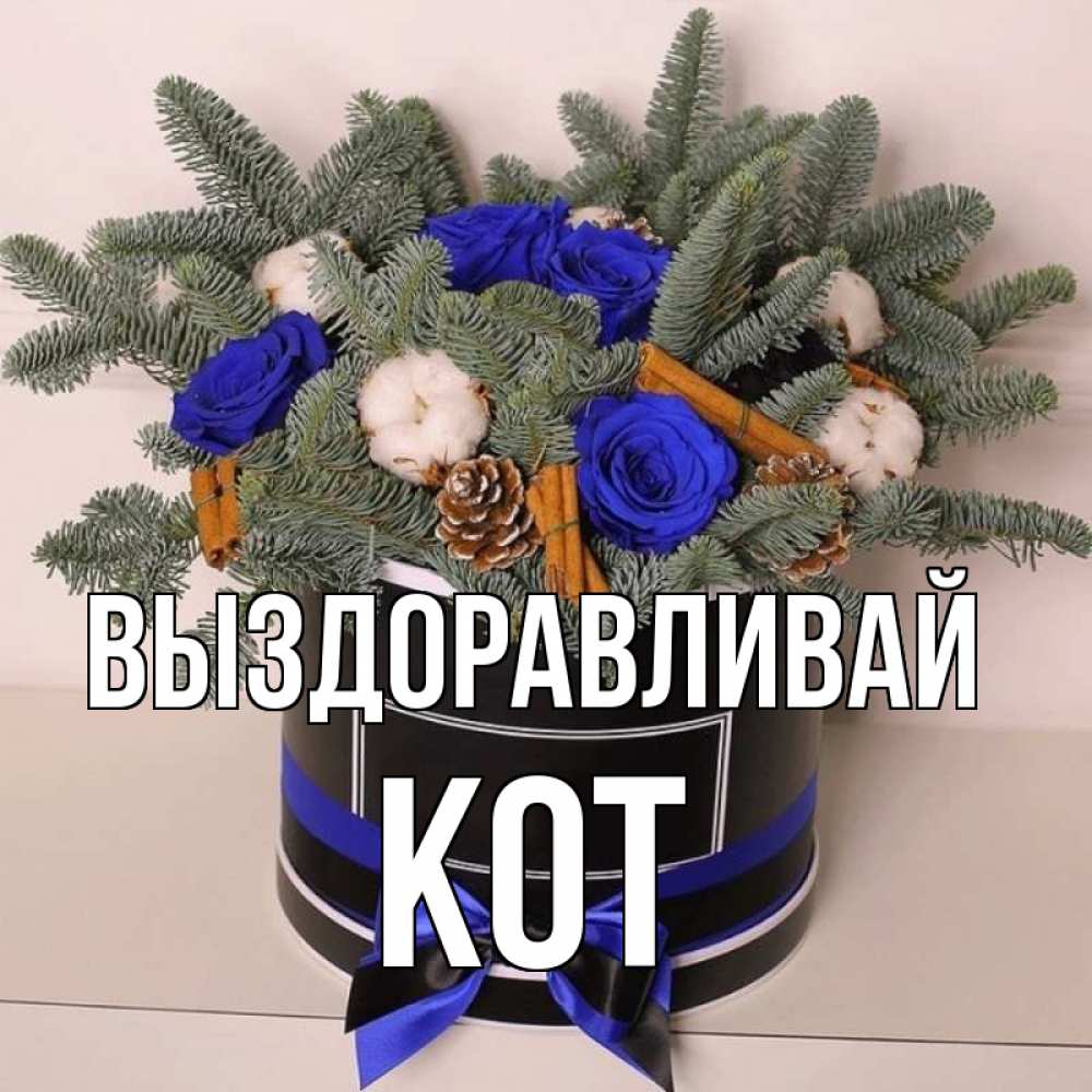 Открытка на каждый день с именем, Кот Выздоравливай короче кто то загрузил эти шишки Прикольная открытка с пожеланием онлайн скачать бесплатно 