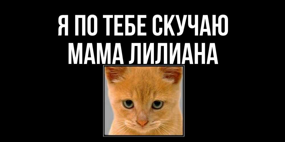 Открытка на каждый день с именем, Мама-Лилиана Я по тебе скучаю открытки рыжий котенок скучает по тебе Прикольная открытка с пожеланием онлайн скачать бесплатно 