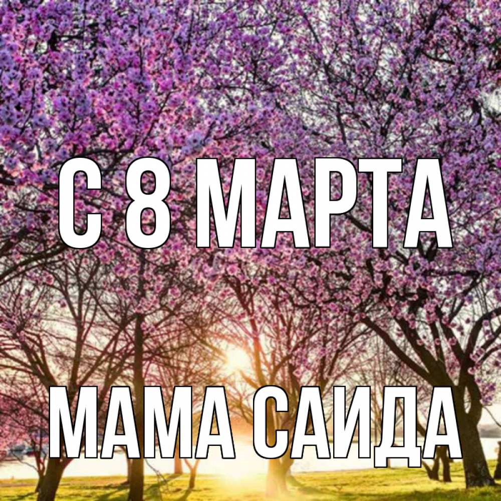 Открытка на каждый день с именем, Мама-Саида С 8 марта международный женский день Прикольная открытка с пожеланием онлайн скачать бесплатно 