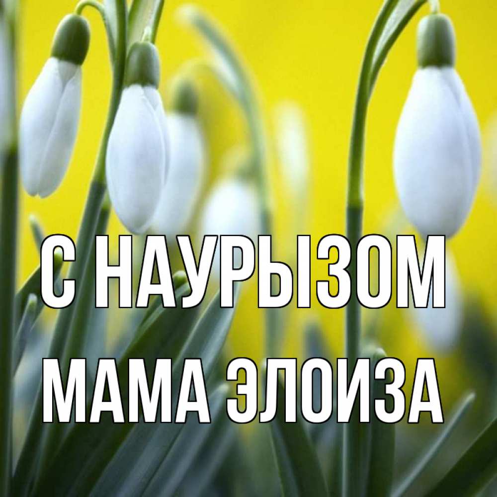 Открытка на каждый день с именем, Мама-Элоиза С наурызом весенние цветы Прикольная открытка с пожеланием онлайн скачать бесплатно 