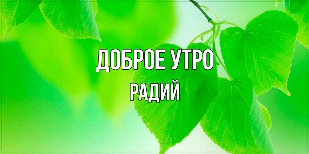 Открытка на каждый день с именем, Радий Доброе утро доброе утро с березовыми листьями Прикольная открытка с пожеланием онлайн скачать бесплатно 