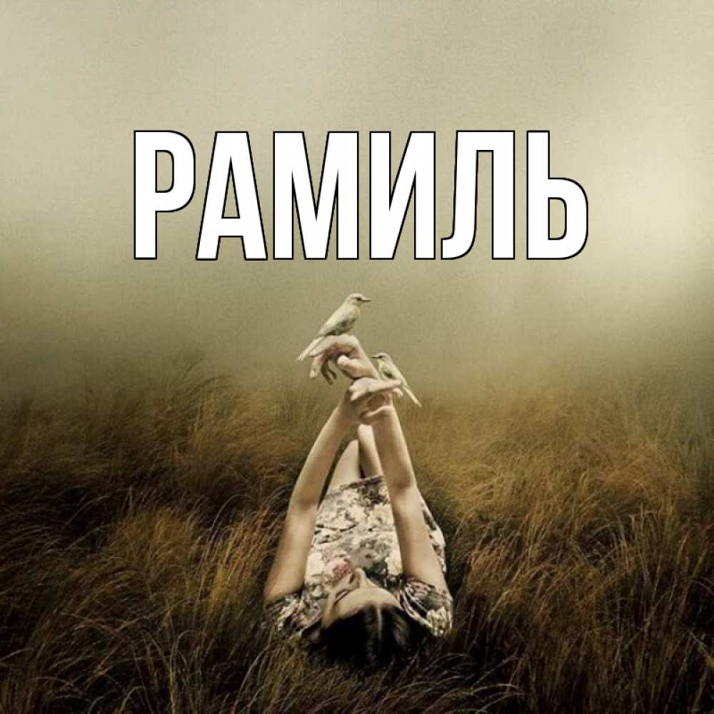 Открытка на каждый день с именем, Рамиль Главная поле и туман Прикольная открытка с пожеланием онлайн скачать бесплатно 
