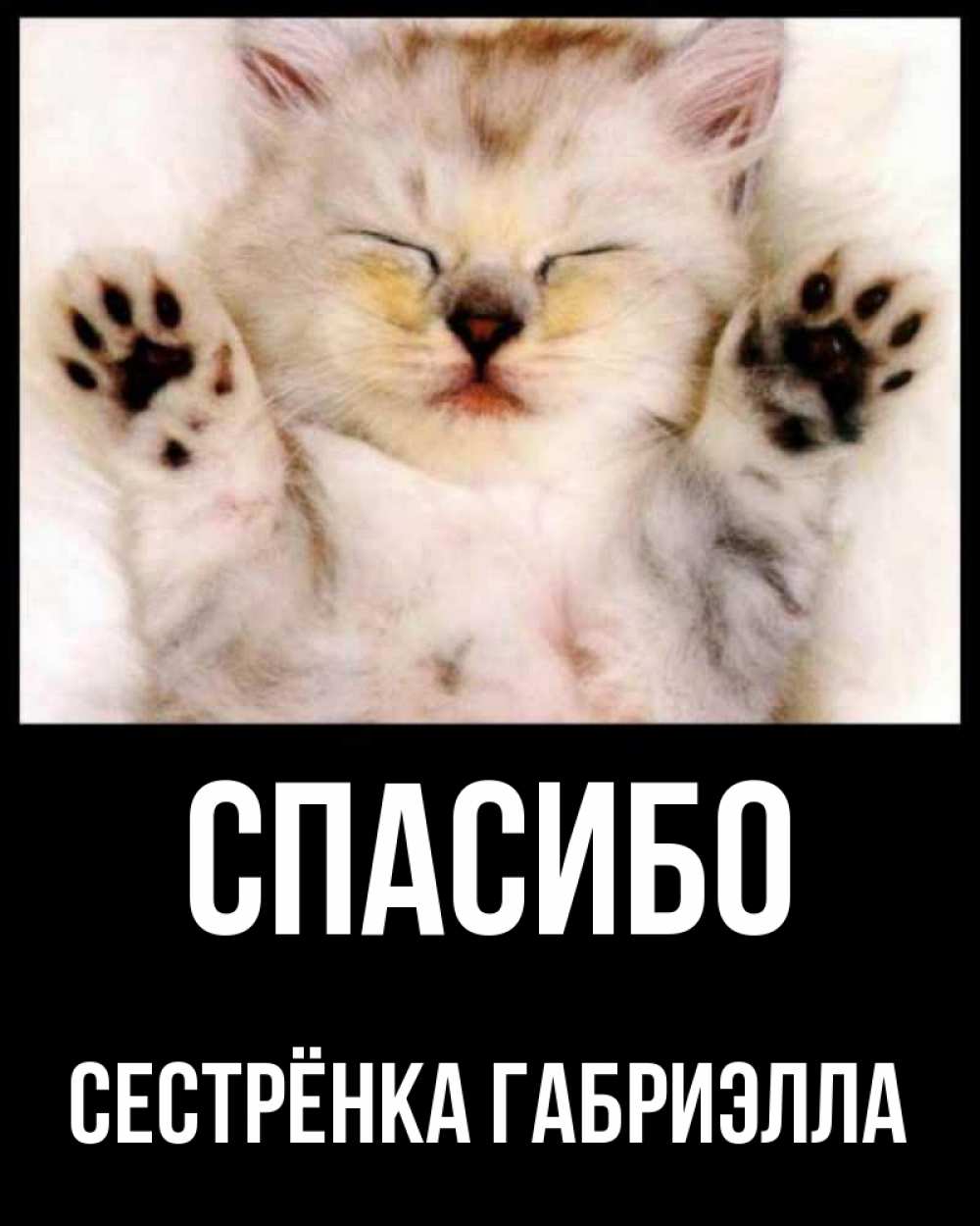 Открытка на каждый день с именем, Сестрёнка-Габриэлла Спасибо маленький котенок Прикольная открытка с пожеланием онлайн скачать бесплатно 
