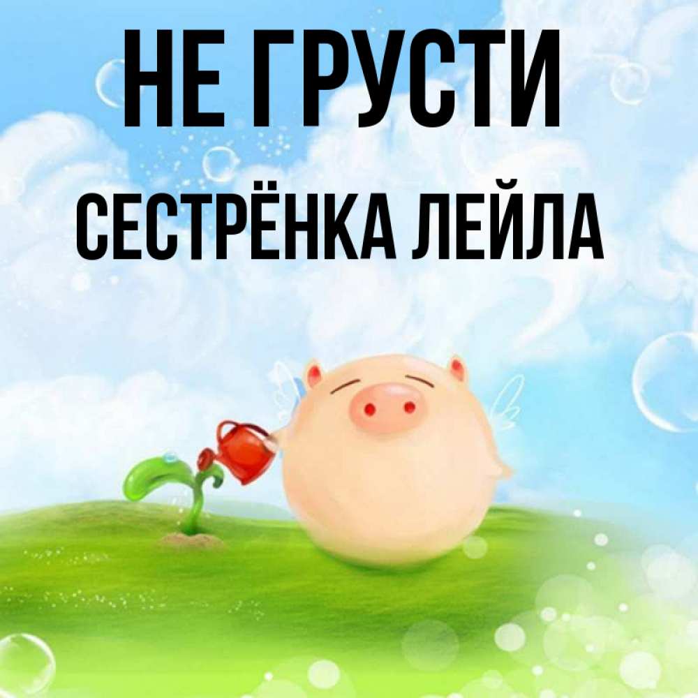 Открытка на каждый день с именем, Сестрёнка-Лейла Не грусти поливает цветок порося Прикольная открытка с пожеланием онлайн скачать бесплатно 