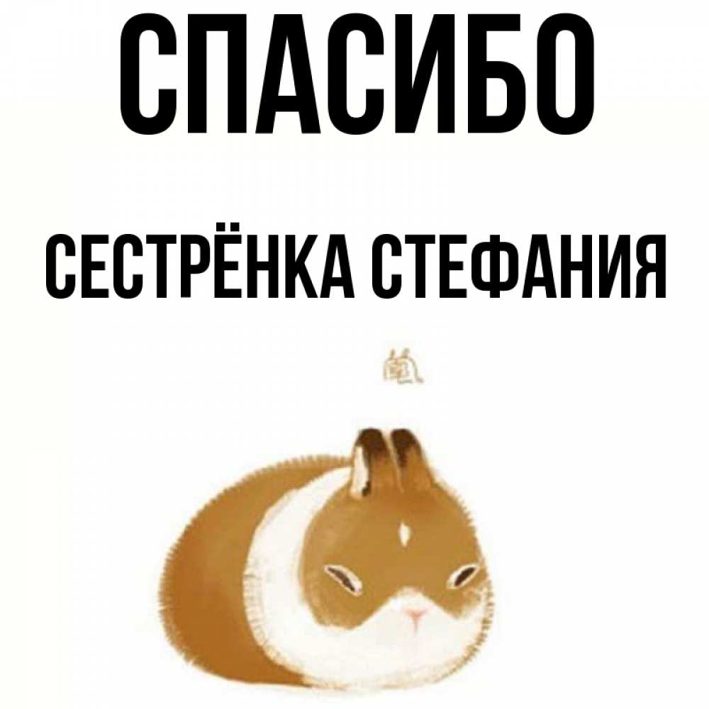 Открытка на каждый день с именем, Сестрёнка-Стефания Спасибо коричнево белый домашний питомец Прикольная открытка с пожеланием онлайн скачать бесплатно 