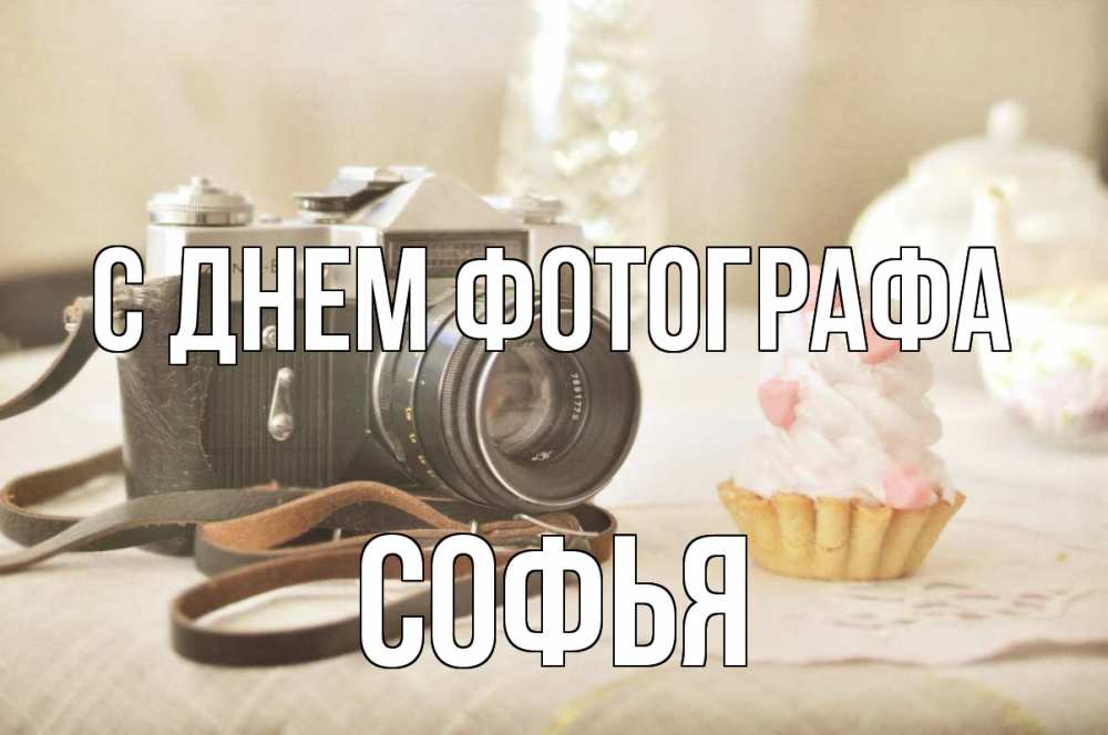 Открытка на каждый день с именем, Софья С днем фотографа с днем фотографа Прикольная открытка с пожеланием онлайн скачать бесплатно 