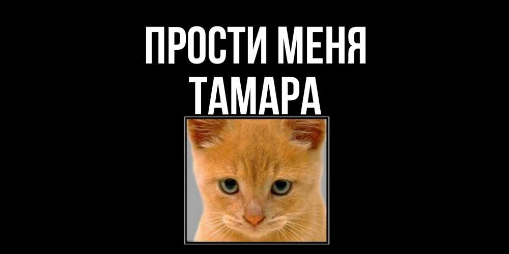 Открытка на каждый день с именем, Тамара Прости меня рыжий грустный кот просит прощения Прикольная открытка с пожеланием онлайн скачать бесплатно 