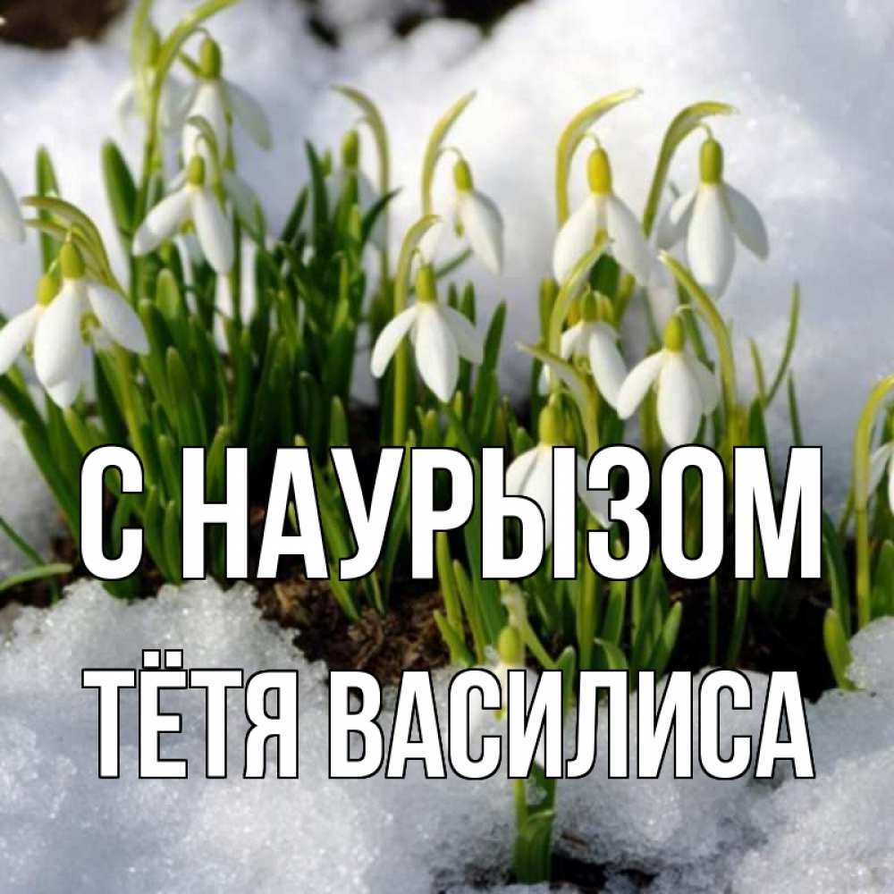 Открытка на каждый день с именем, Тётя-Василиса С наурызом цветы весенние Прикольная открытка с пожеланием онлайн скачать бесплатно 