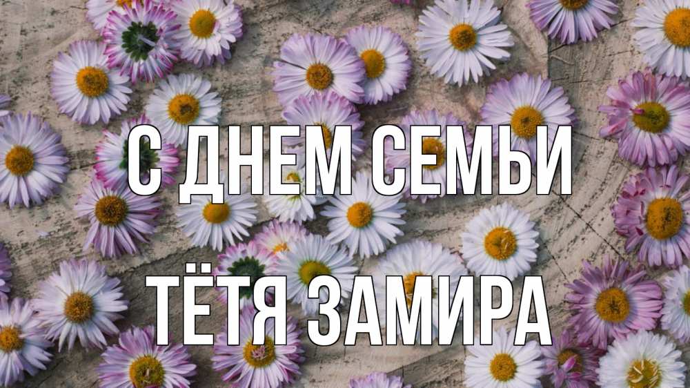 Открытка на каждый день с именем, Тётя-Замира С днем семьи с днем семьи Прикольная открытка с пожеланием онлайн скачать бесплатно 