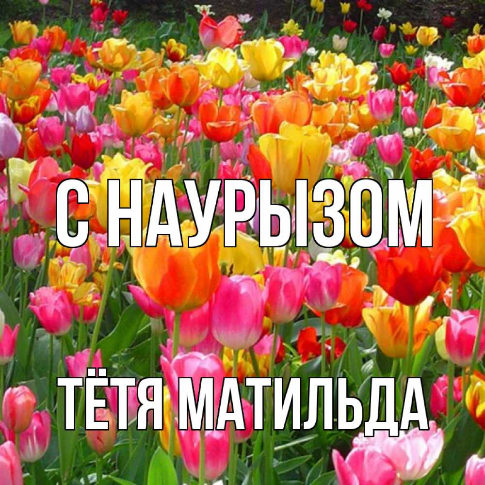 Открытка на каждый день с именем, Тётя-Матильда С наурызом праздник весны наурыз 4 Прикольная открытка с пожеланием онлайн скачать бесплатно 