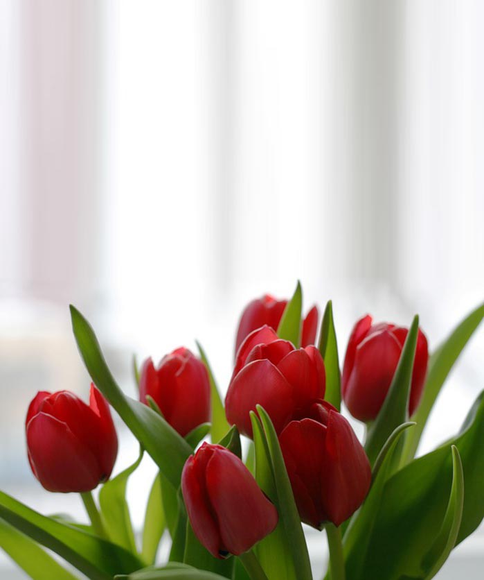 Открытка с цветами  полевые цветы  С наурызом 