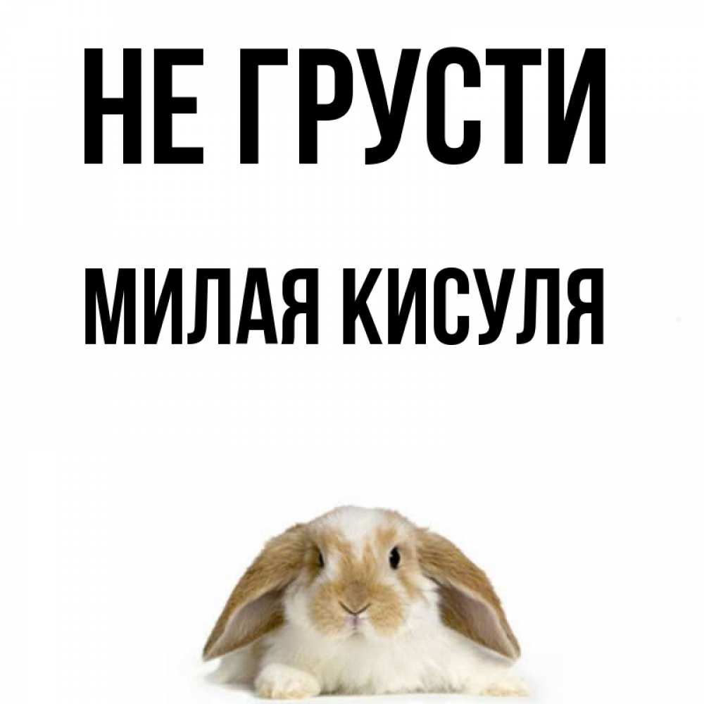 Не грусти милая моя. Не грусти милая. Не грусти милашка. Милая картинка не грусти. Не грусти кисуля