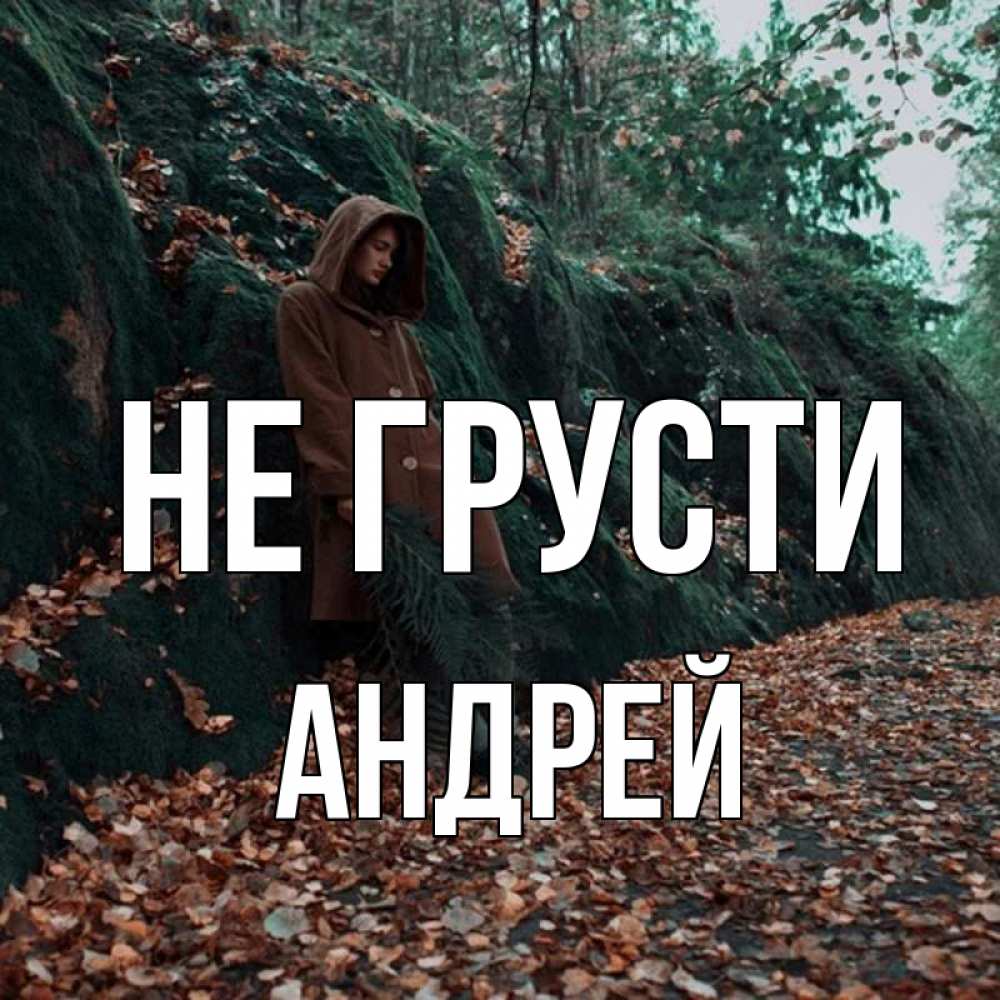 Открытка на каждый день с именем, Андрей Не грусти осенний лес Прикольная открытка с пожеланием онлайн скачать бесплатно 