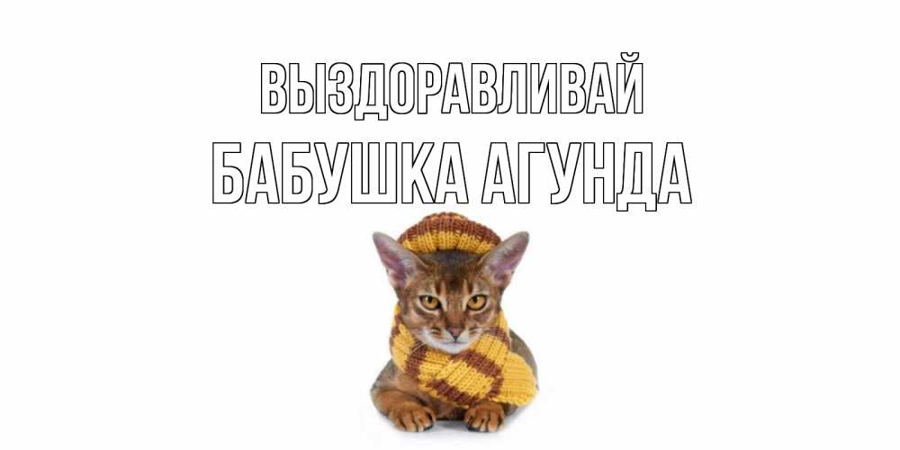 Открытка на каждый день с именем, Бабушка-Агунда Выздоравливай родные не болейте Прикольная открытка с пожеланием онлайн скачать бесплатно 