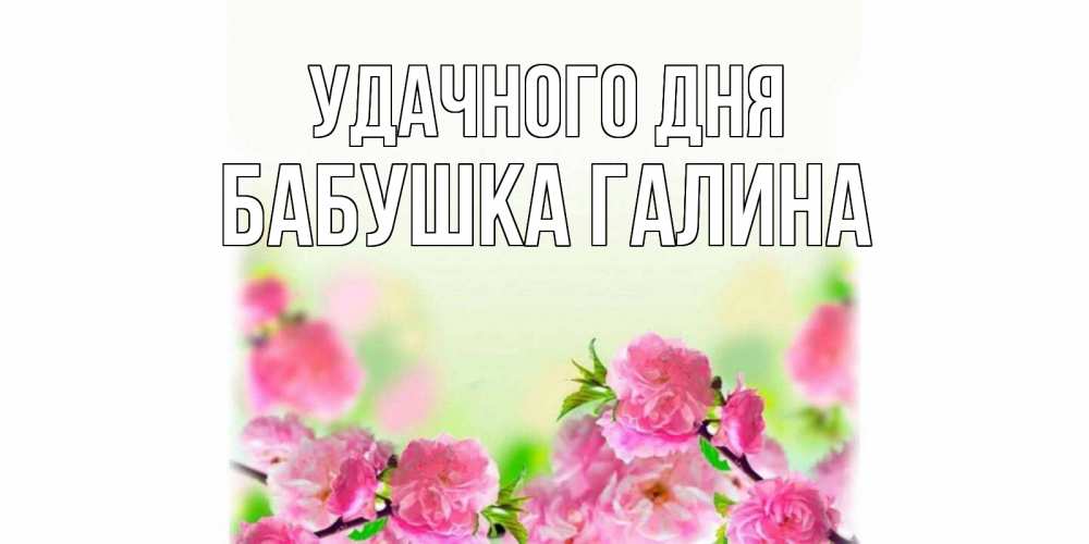 Открытка на каждый день с именем, Бабушка-Галина Удачного дня цветы Прикольная открытка с пожеланием онлайн скачать бесплатно 